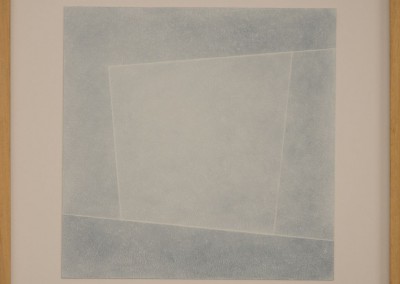 f-oblicua-03