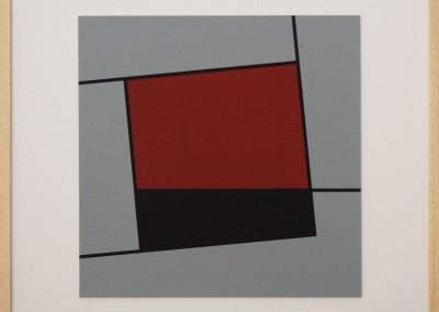 f-oblicua-07